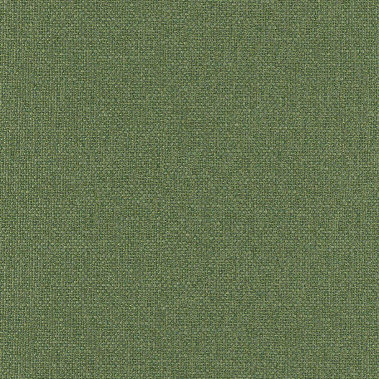 Eade’s # 536 BOTTLE