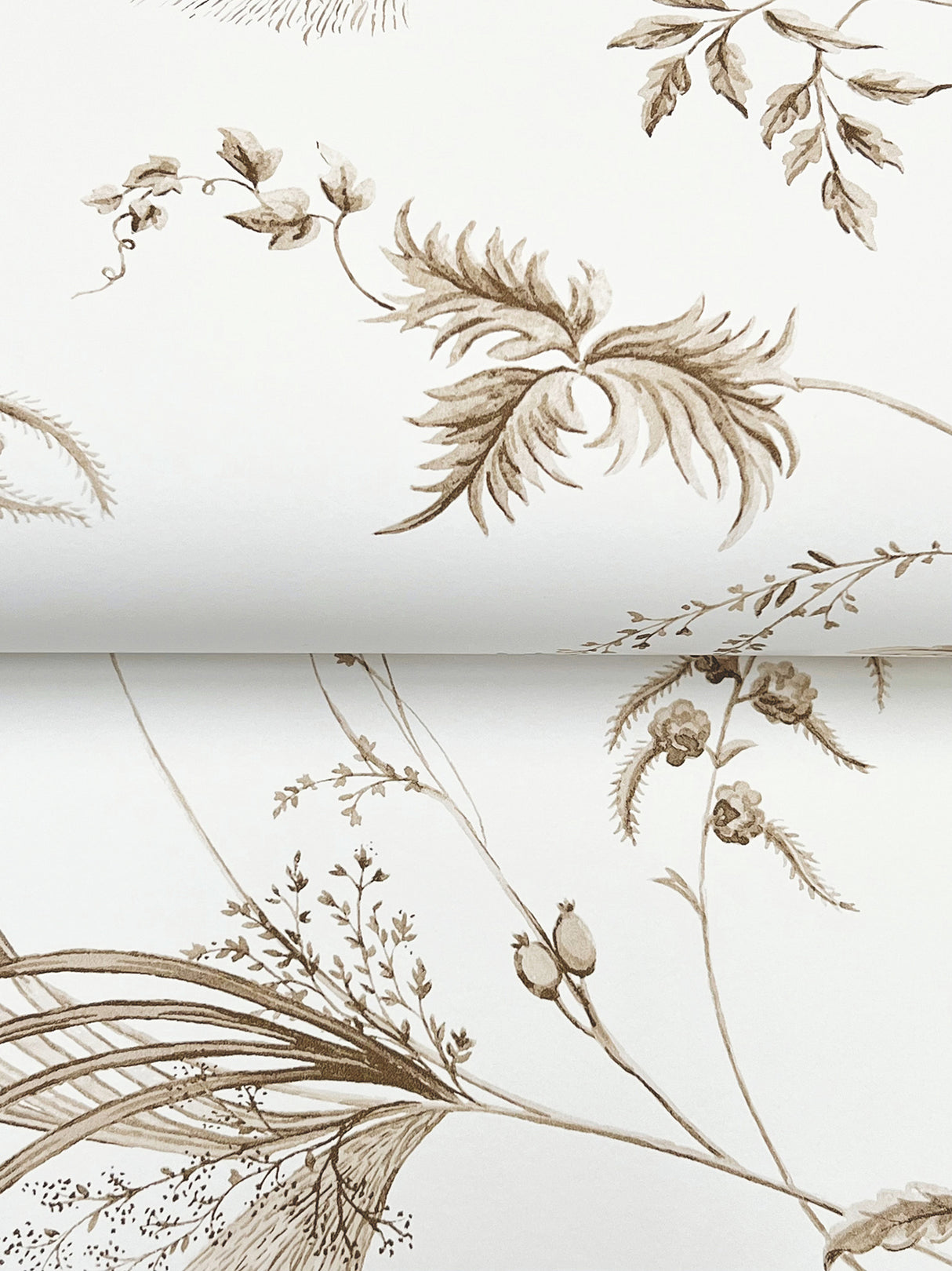 Ronald Redding MX9681 Floral Lace Taupe Wallpaper - Eade's Wallpaper