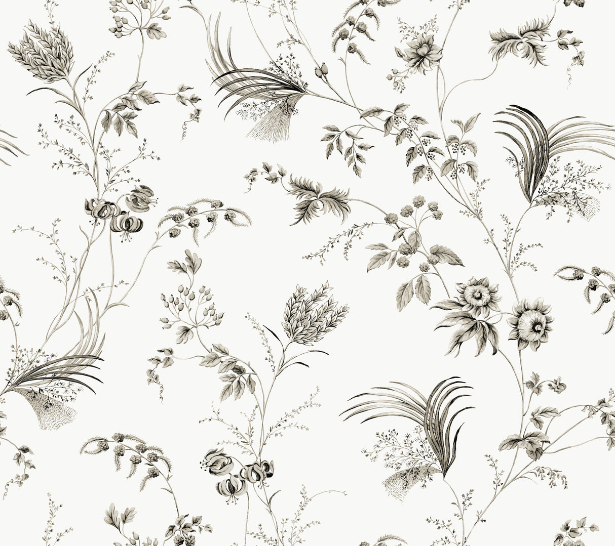 Ronald Redding MX9682 Floral Lace Black Wallpaper - Eade's Wallpaper