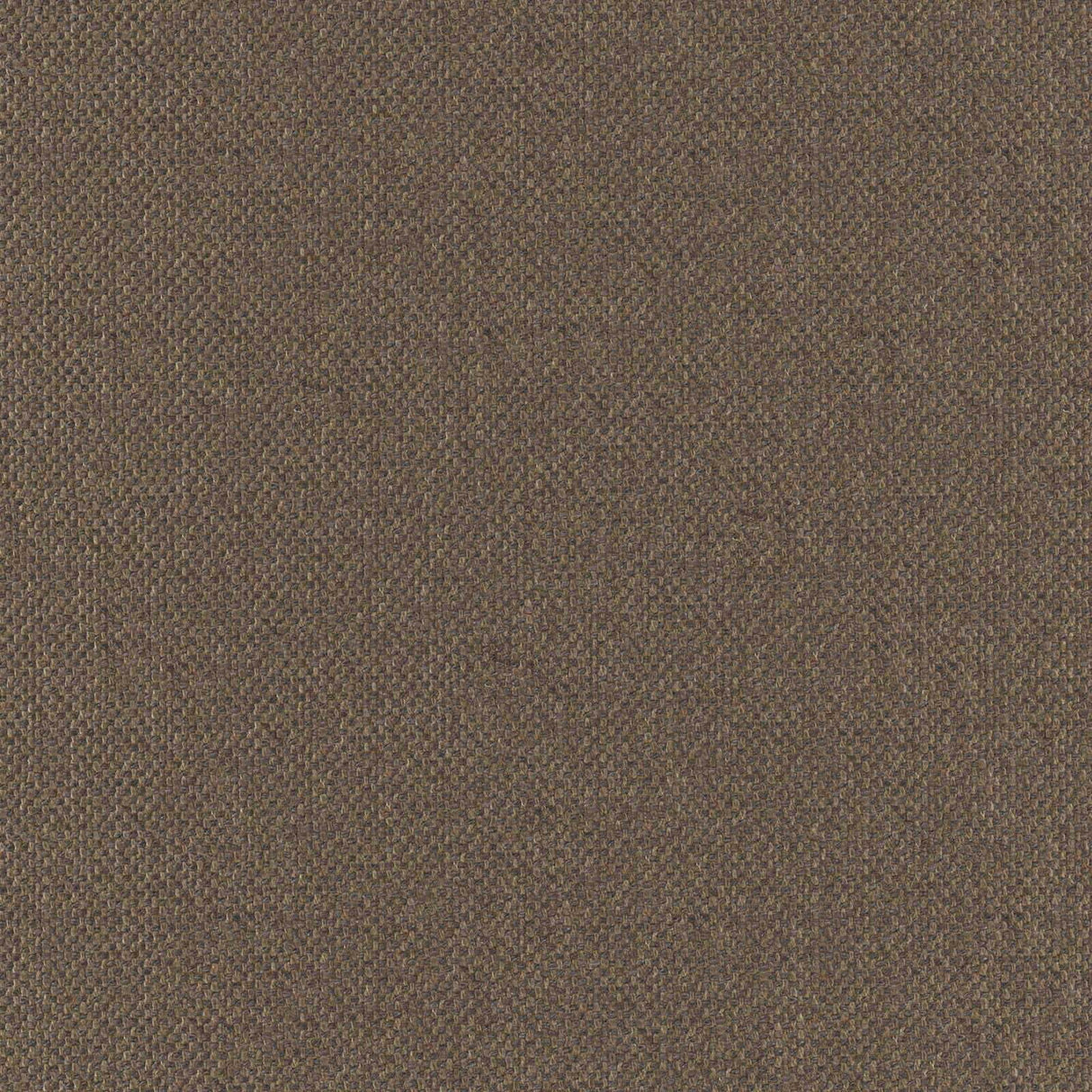 Eade’s # 726 MUSHROOM