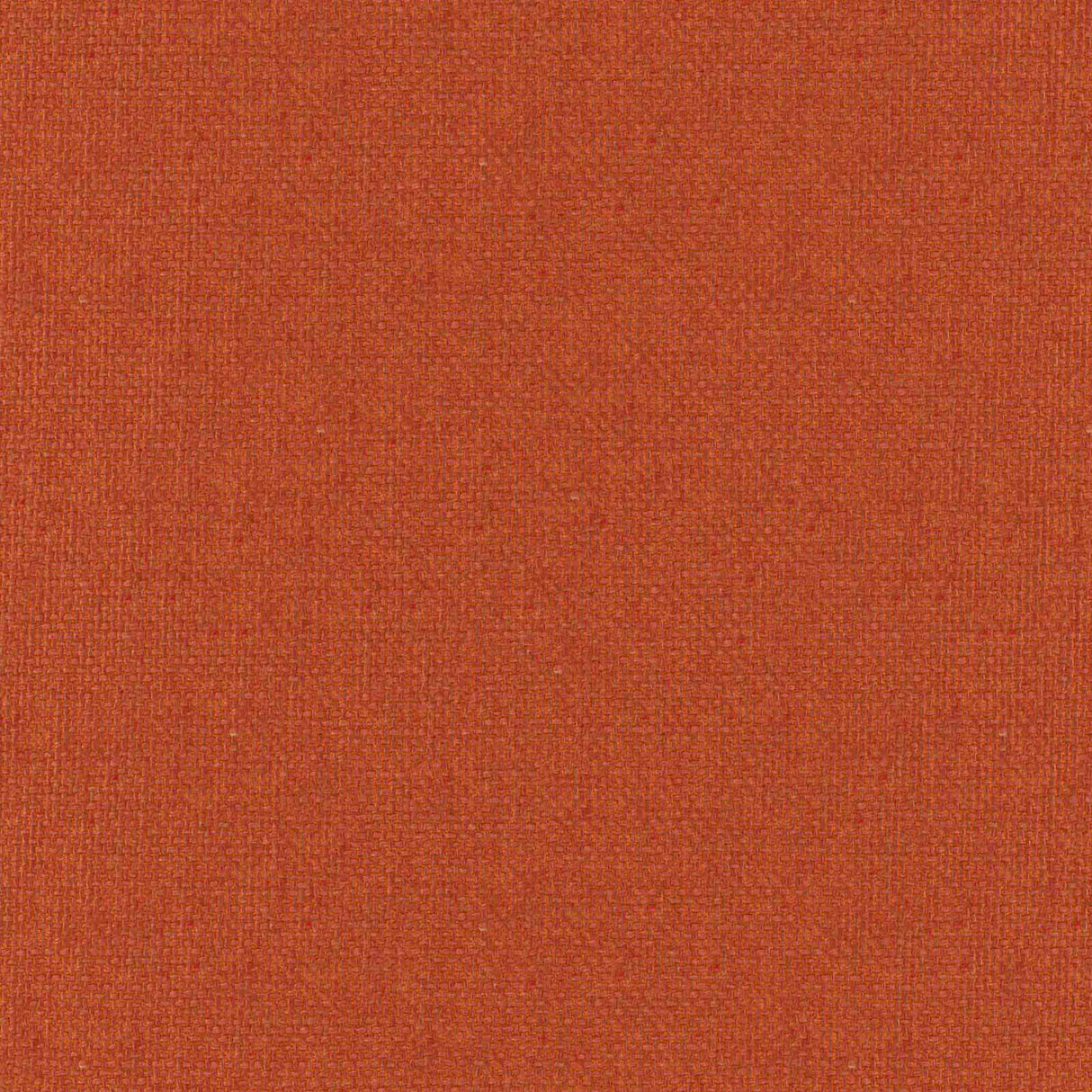 Eade’s # 907 PUMPKIN