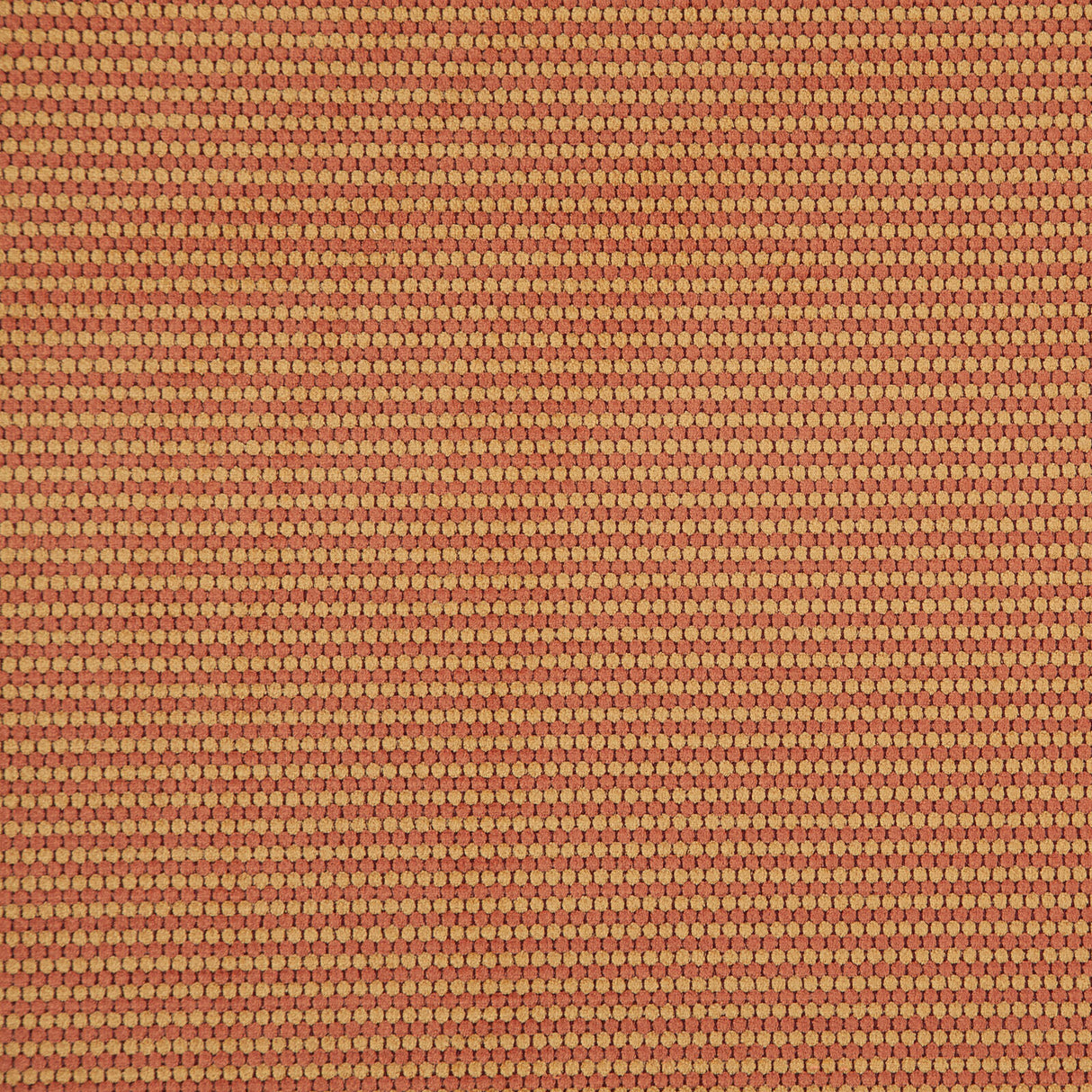 Eade’s # 503 SIENNA