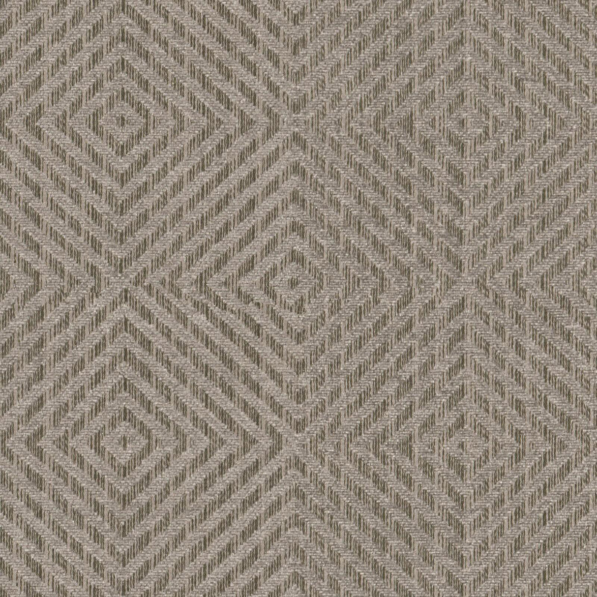 Eade’s # 319 SHARK