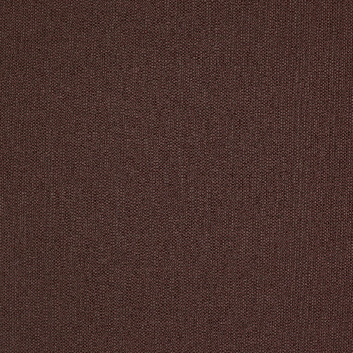 Eade’s # 11 CHESTNUT