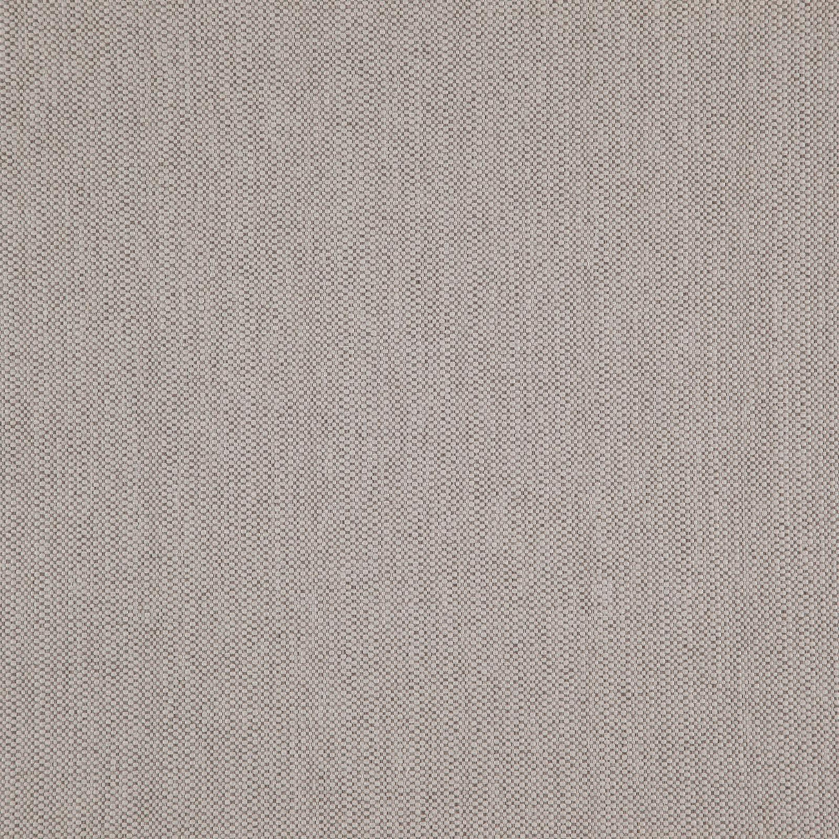 Eade’s # 15 OYSTER