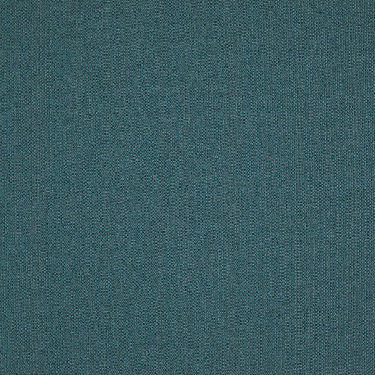 Eade’s # 29 PEACOCK