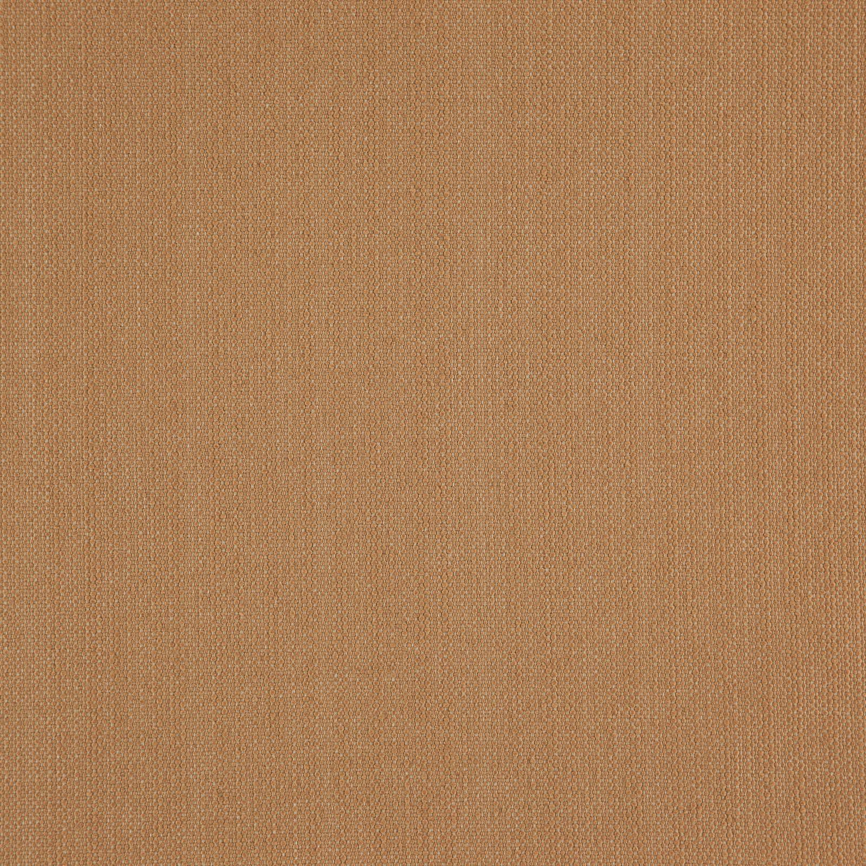 Eade’s # 36 GINGER