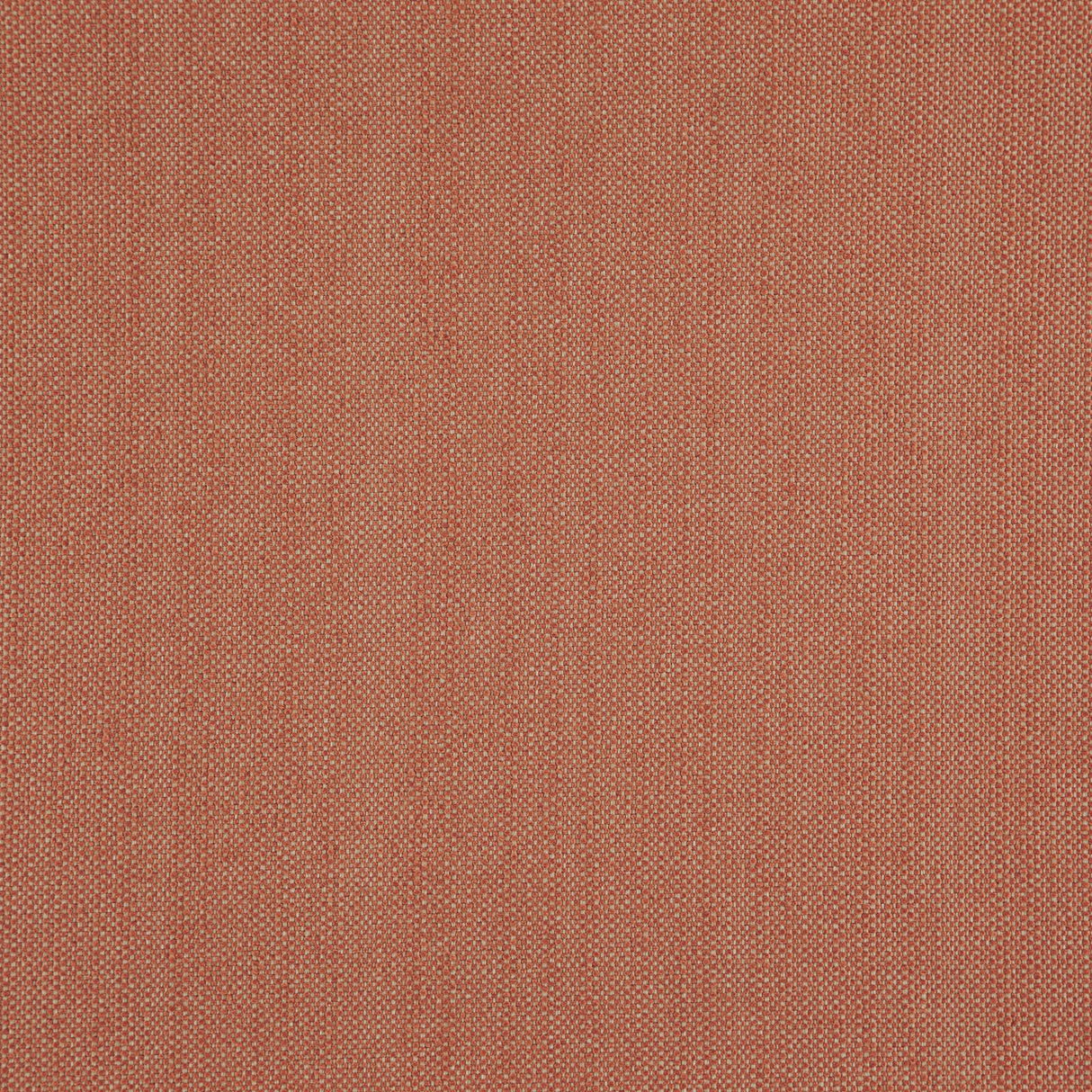 Eade’s # 37 CANYON