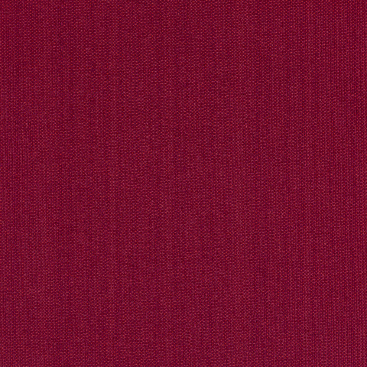 Eade’s # 40 PASSION