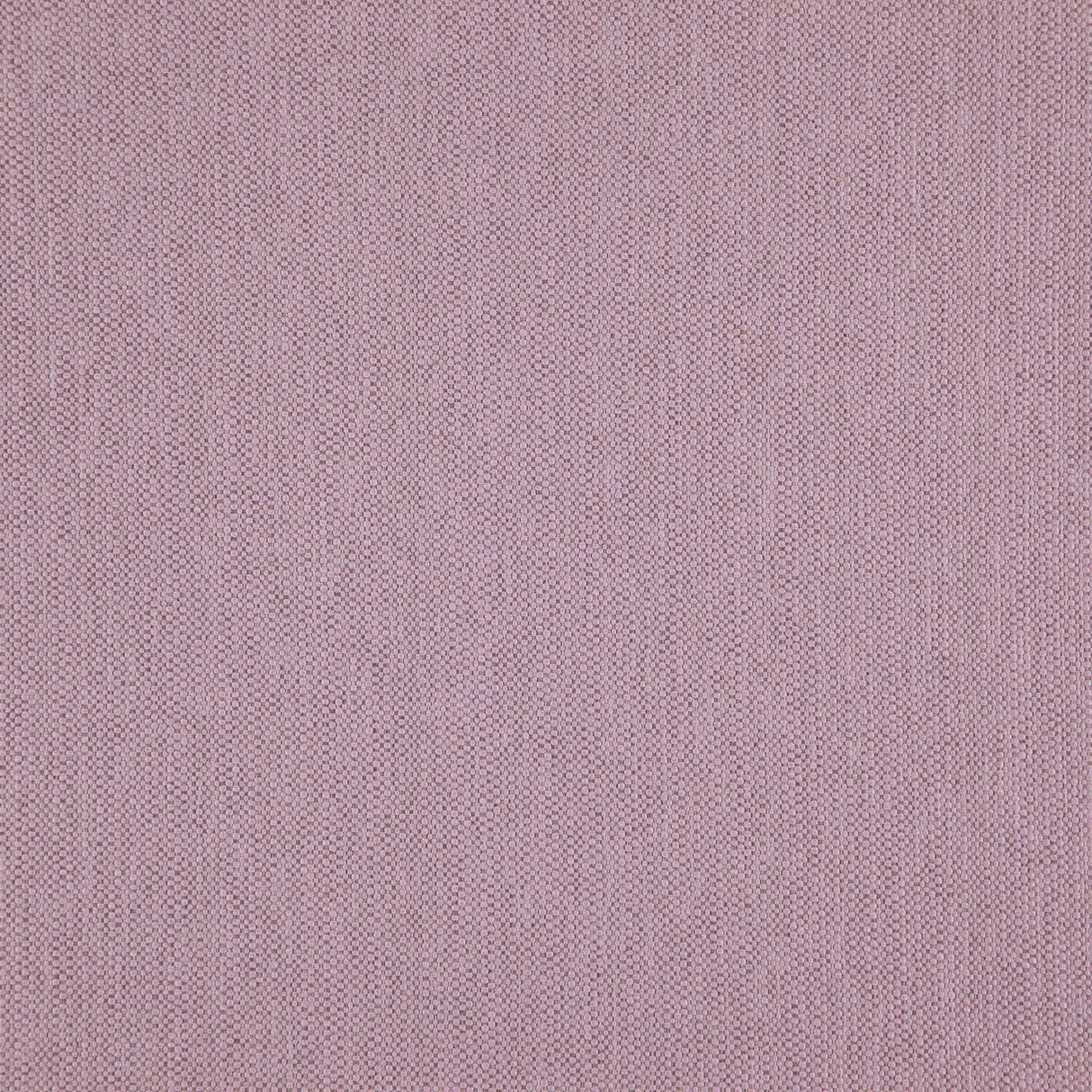 Eade’s # 43 ORCHID