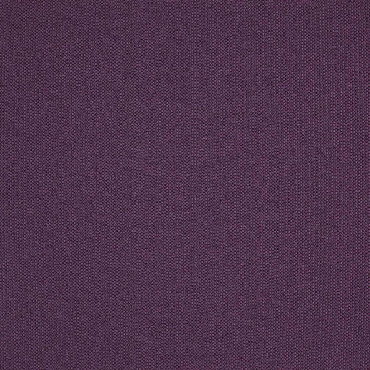 Eade’s # 44 EMPEROR