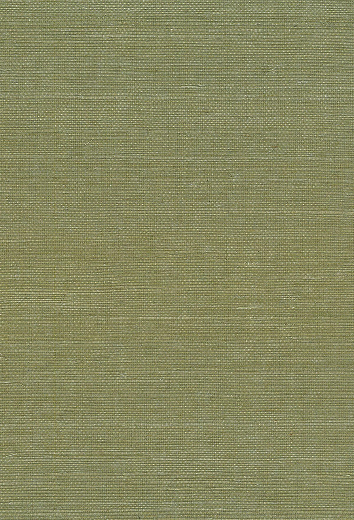 Seabrook Designs NA208 Wallpaper - Eade's Wallpaper & Fabric