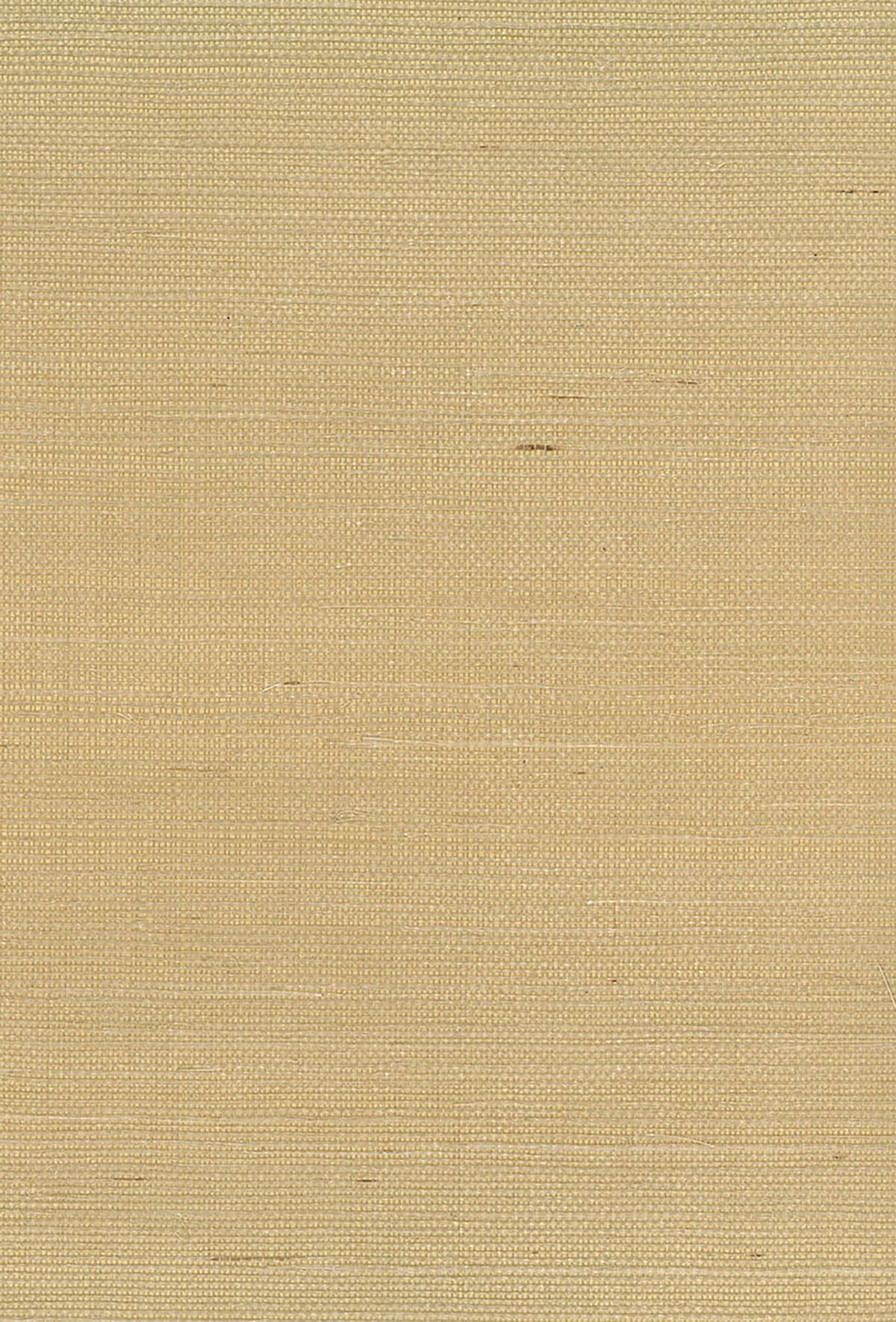 Seabrook Designs NA211 Wallpaper - Eade's Wallpaper & Fabric