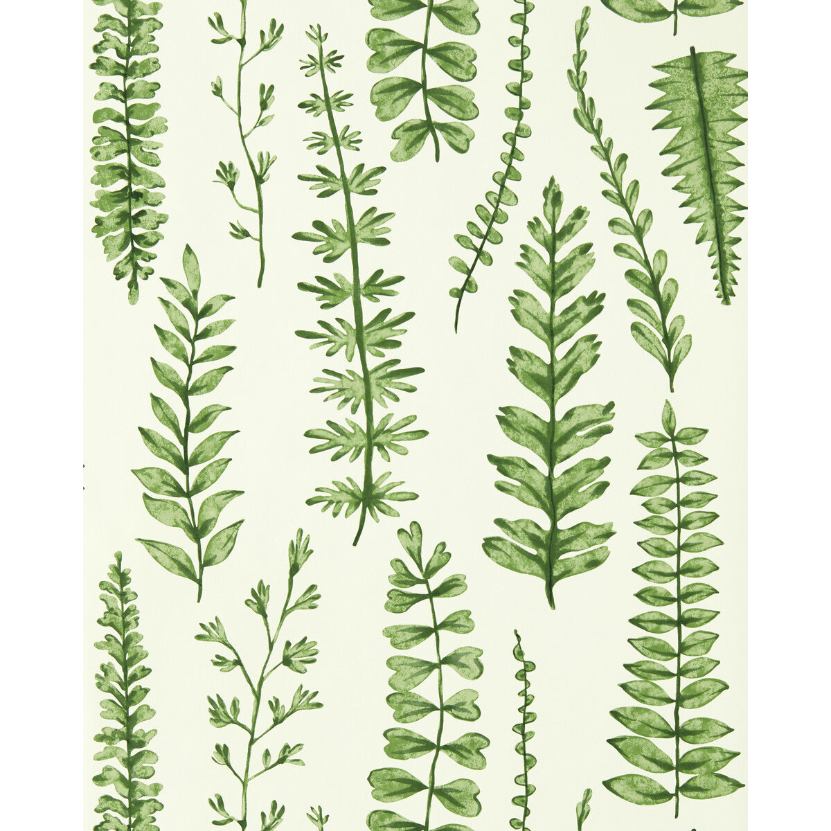 SCION NART112798.SCN.0 FERNS JUNIPER Wallpaper - Eade's Wallpaper