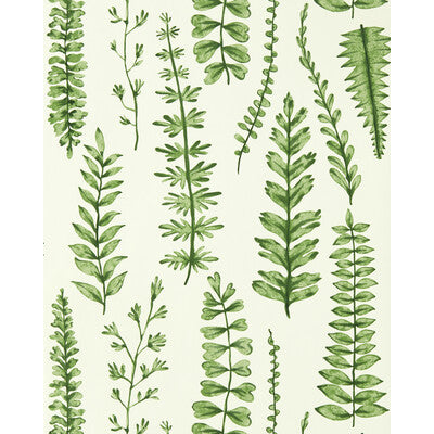SCION NART112798.SCN.0 FERNS JUNIPER Wallpaper - Eade's Wallpaper