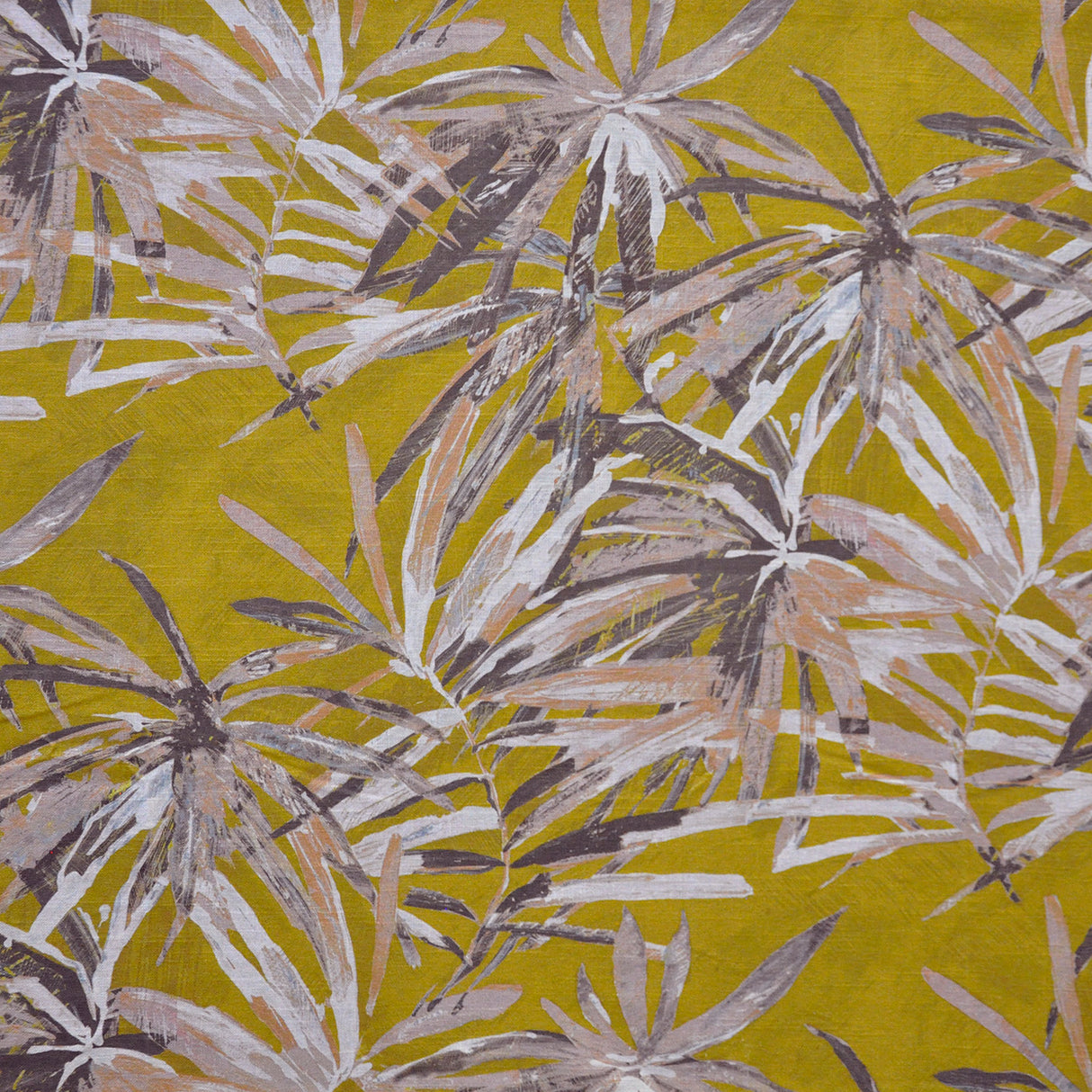 Eade’s # 603 DIJON