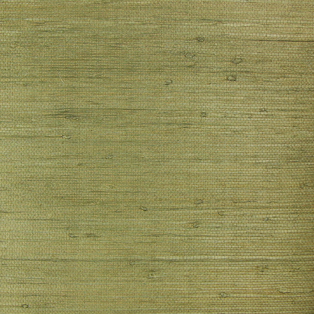 Astek NC137 Olive Grasscloth