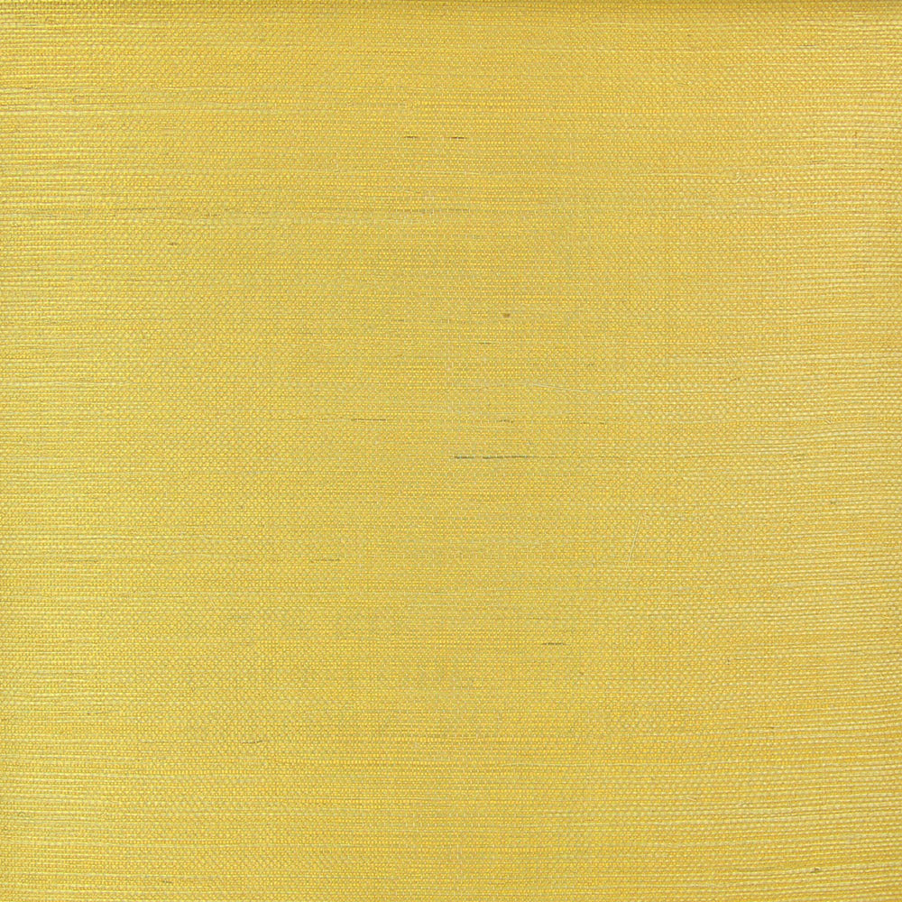 Astek ND1021 Royal Grasscloth