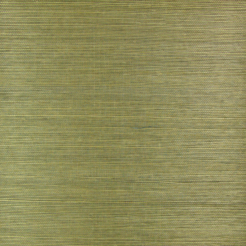 Astek ND1025 Rural Green Grasscloth