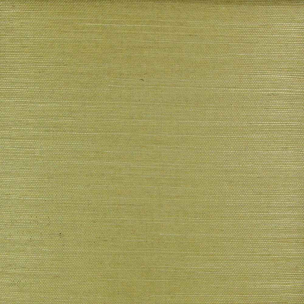 Astek ND1033 Moss Grasscloth