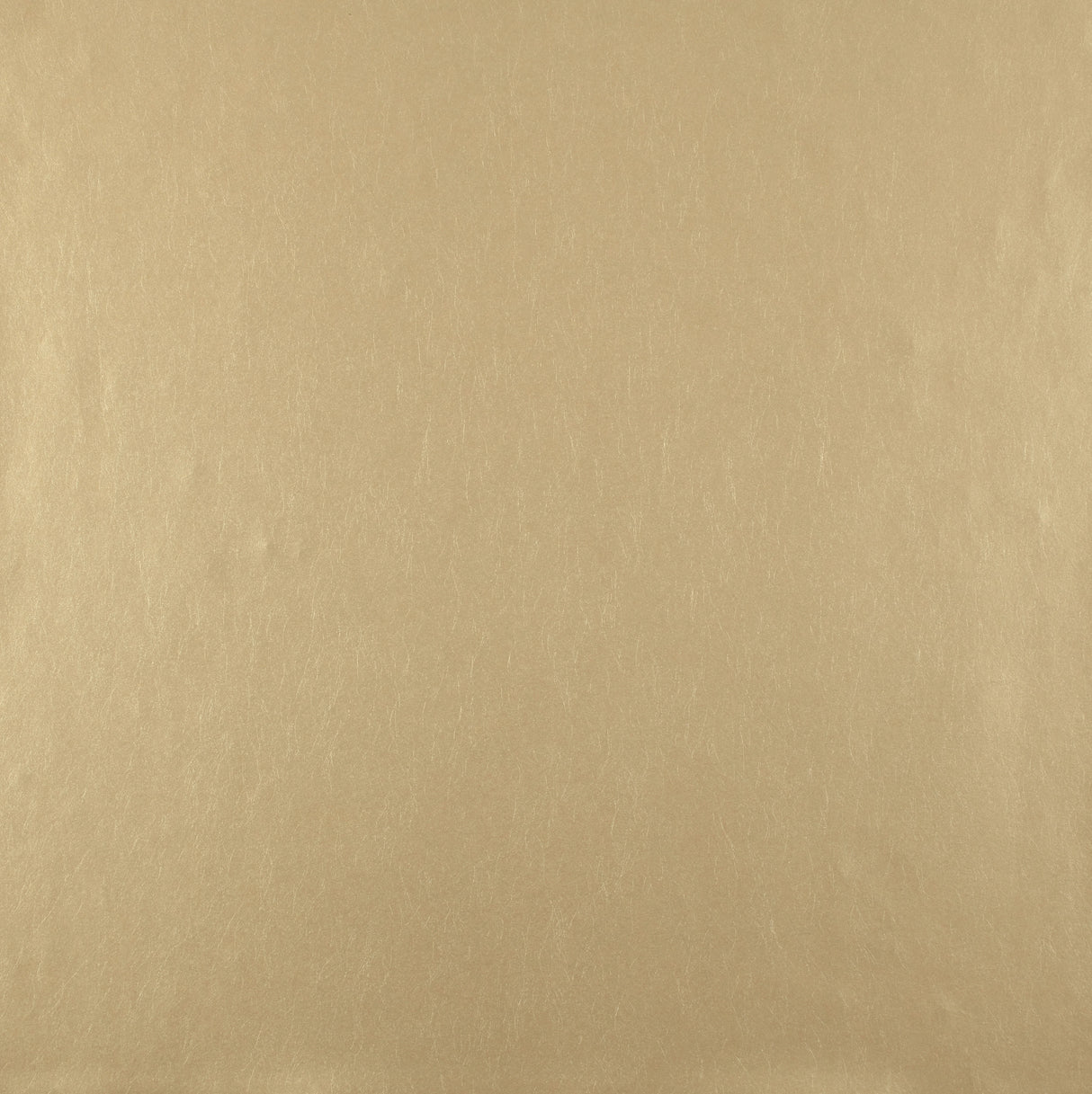 York ND7090 Oasis Honey Wallpaper