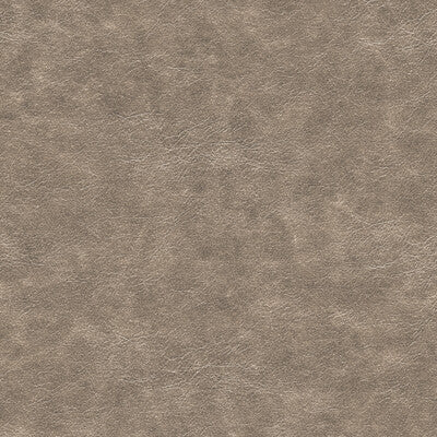 KRAVET DESIGN NEBULA.811.0 KRAVET DESIGN NEBULA-811 Fabric - FAUX LEATHER IV