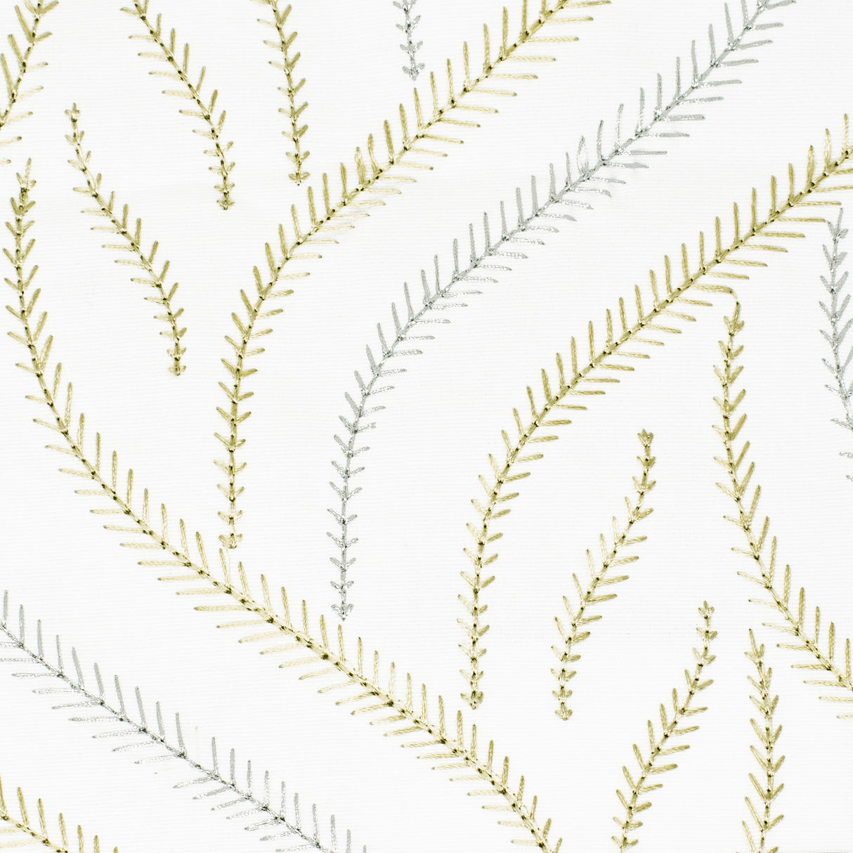 STOUT NERO-2 NERO 2 CHARDONNAY Fabric - Eades Wallpaper & Fabric