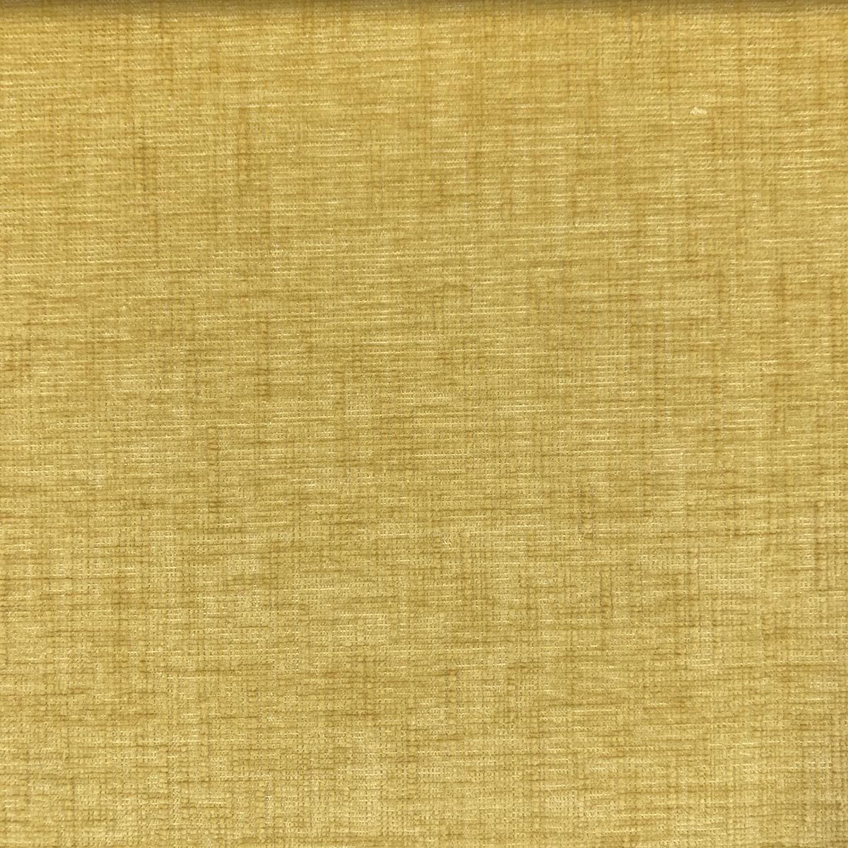 Eade’s NILLY GOLDEN GOLDEN