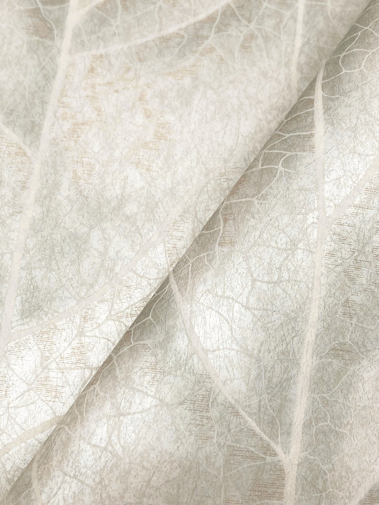 Candice Olson NT6145 Dicot Spa Leaf Wallpaper - Eade's Wallpaper