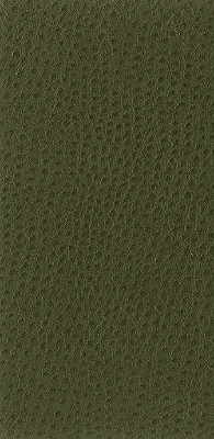 KRAVET BASICS NUOSTRICH.30.0 KRAVET BASICS NUOSTRICH-30 Fabric - Eade's Wallpaper
