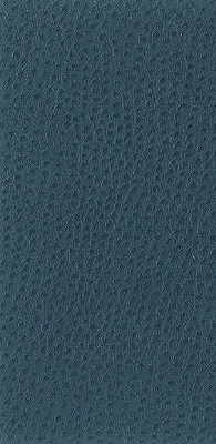 KRAVET BASICS NUOSTRICH.5.0 KRAVET BASICS NUOSTRICH-5 Fabric - Eade's Wallpaper