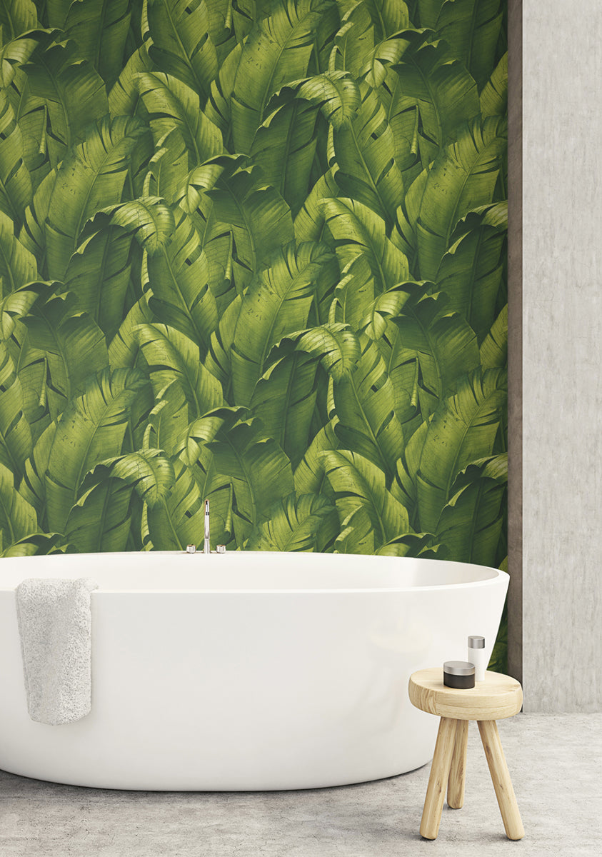 NextWall NW31000 Peek & Stick Wallpaper - Eade's Wallpaper & Fabric