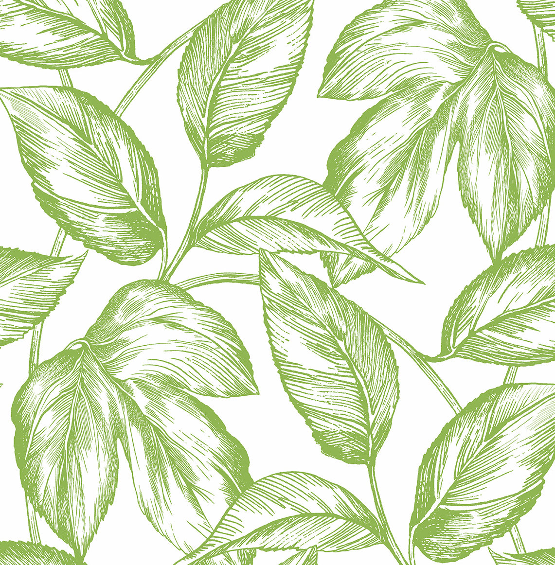 NextWall NW46904 Sketched Leaves