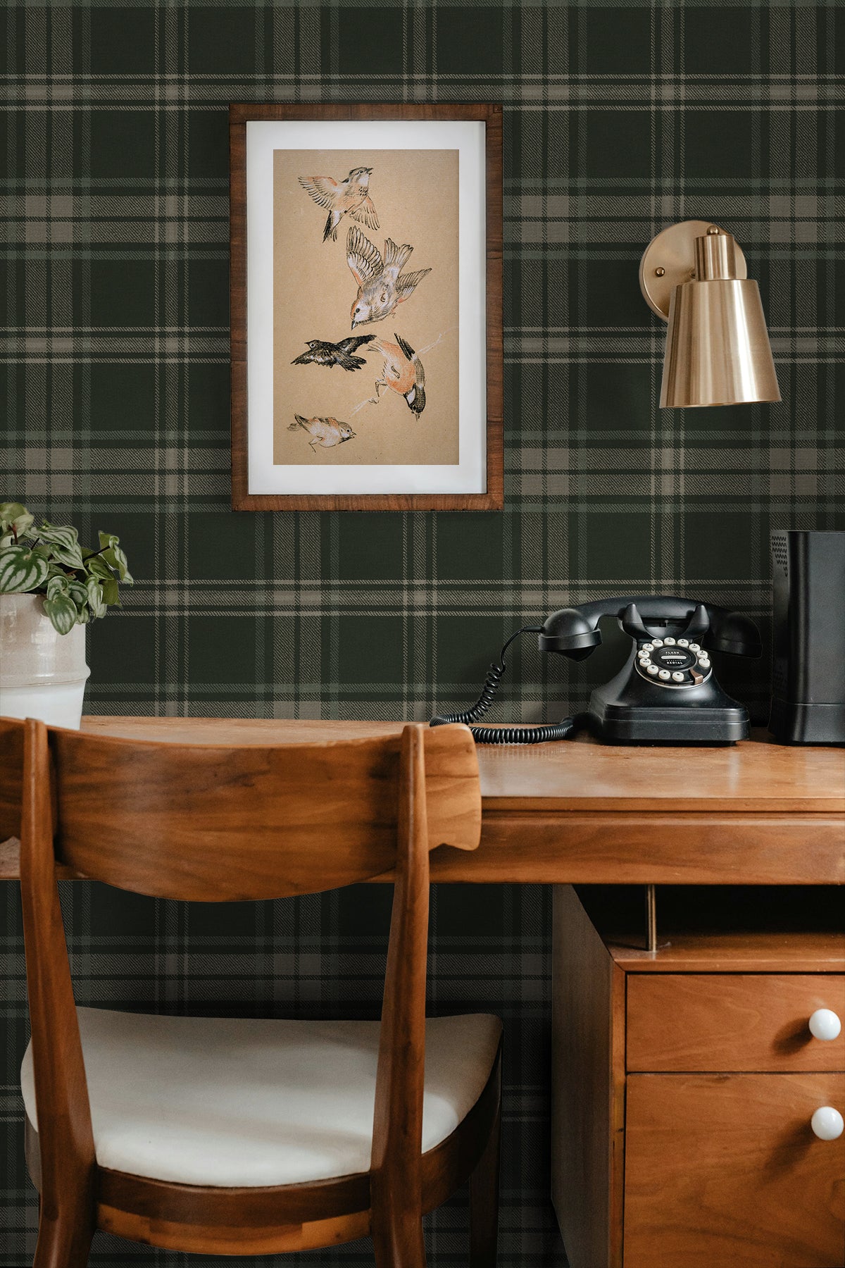 NextWall NW58904 Peek & Stick Wallpaper - Eade's Wallpaper & Fabric