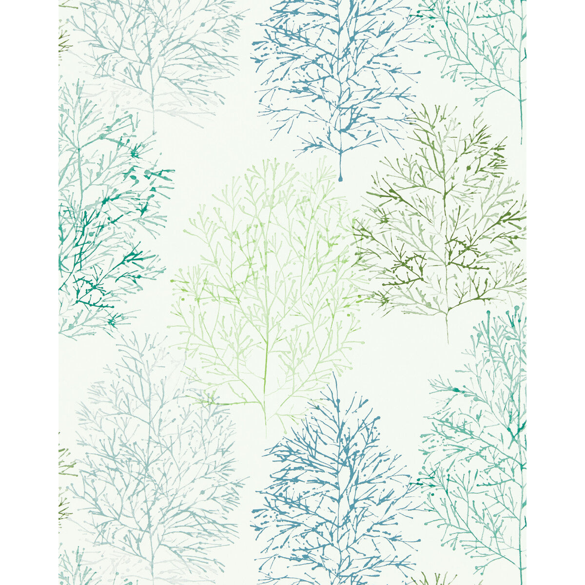 SCION NZAW112002.SCN.0 SOETSU WP KIWI/SLATE Wallpaper - Eade's Wallpaper