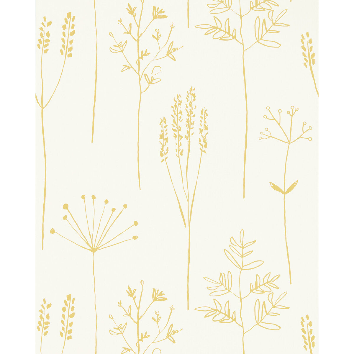 SCION NZAW112021.SCN.0 STIPA HONEY Wallpaper - Eade's Wallpaper