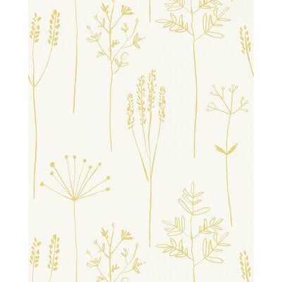 SCION NZAW112021.SCN.0 STIPA HONEY Wallpaper - Eade's Wallpaper