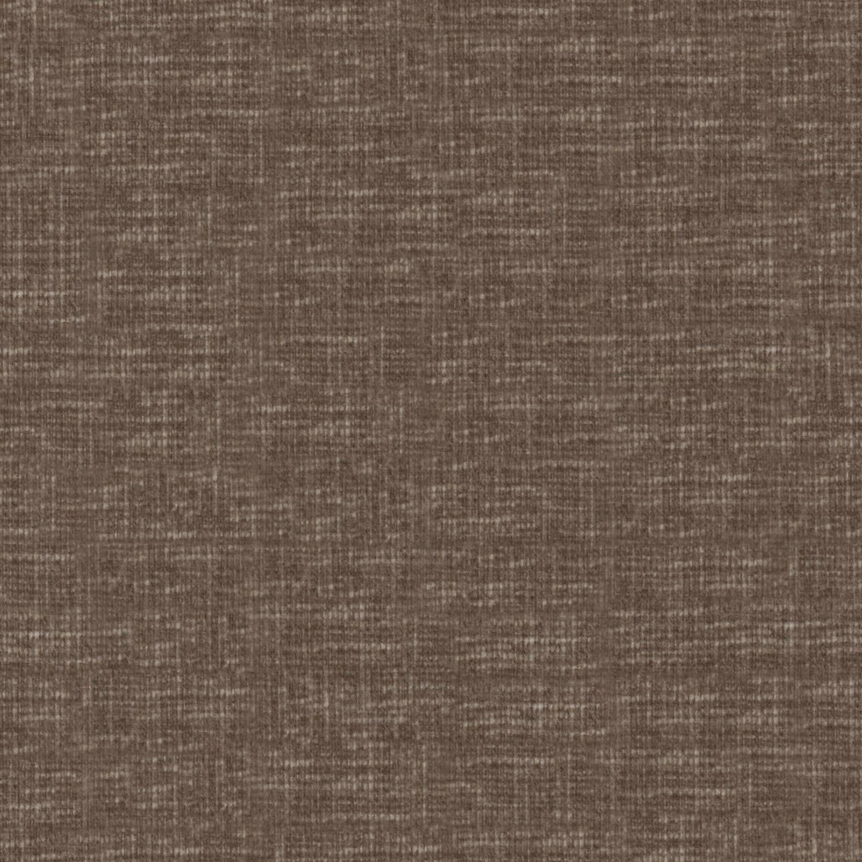 Eade’s # 931 FUNGHI