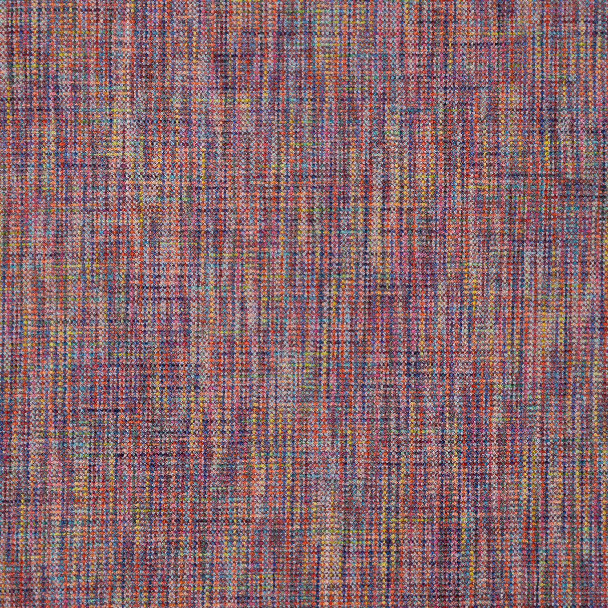 Eade’s # 826 CROCUS