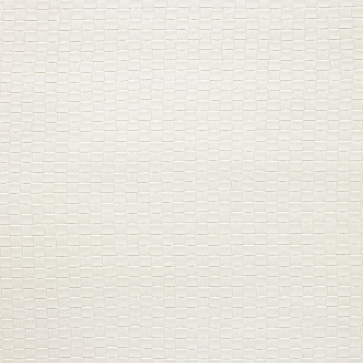 KRAVET DESIGN OLIA.101.0 KRAVET DESIGN OLIA-101 Fabric - Eade's Wallpaper