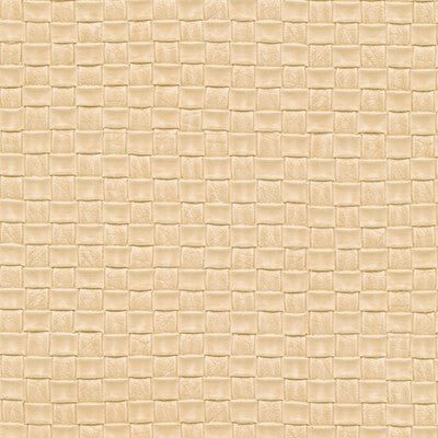 KRAVET DESIGN OLIA.1101.0 KRAVET DESIGN OLIA-1101 Fabric - FAUX LEATHER IV