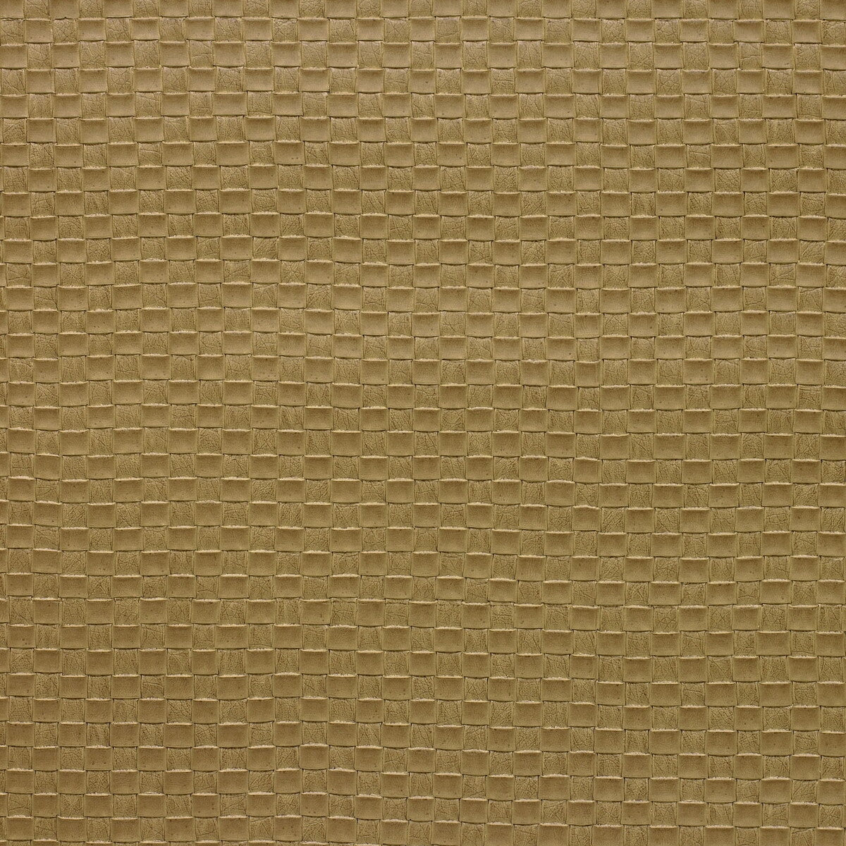 KRAVET DESIGN OLIA.16.0 KRAVET DESIGN OLIA-16 Fabric - Eade's Wallpaper