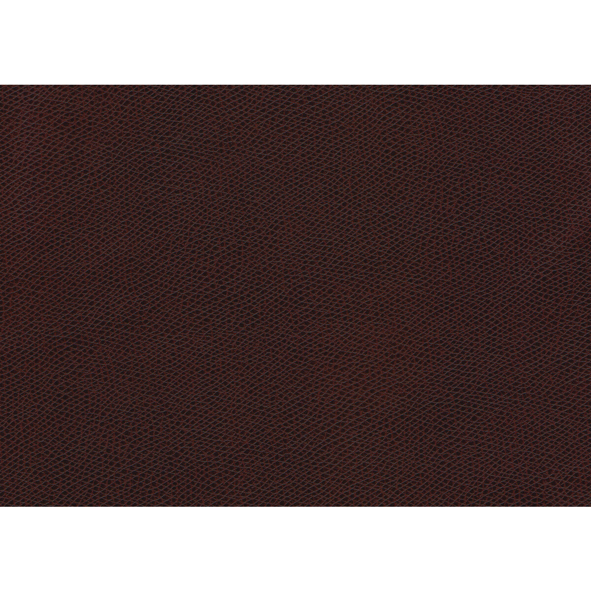 KRAVET CONTRACT OPHIDIAN.10.0 OPHIDIAN RAISIN Fabric - Eade's Wallpaper