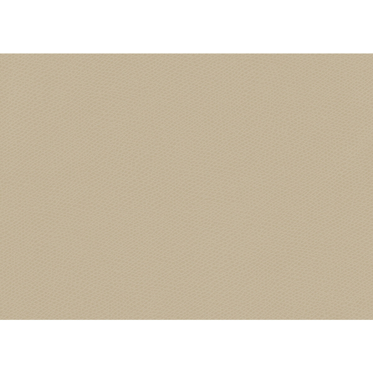 KRAVET CONTRACT OPHIDIAN.101.0 OPHIDIAN OATMEAL Fabric - Eade's Wallpaper