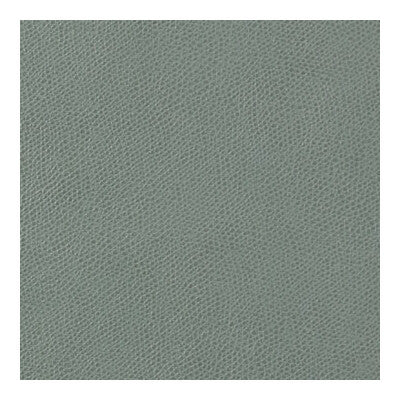 KRAVET CONTRACT OPHIDIAN.113.0 OPHIDIAN MINERAL Fabric - Eade's Wallpaper