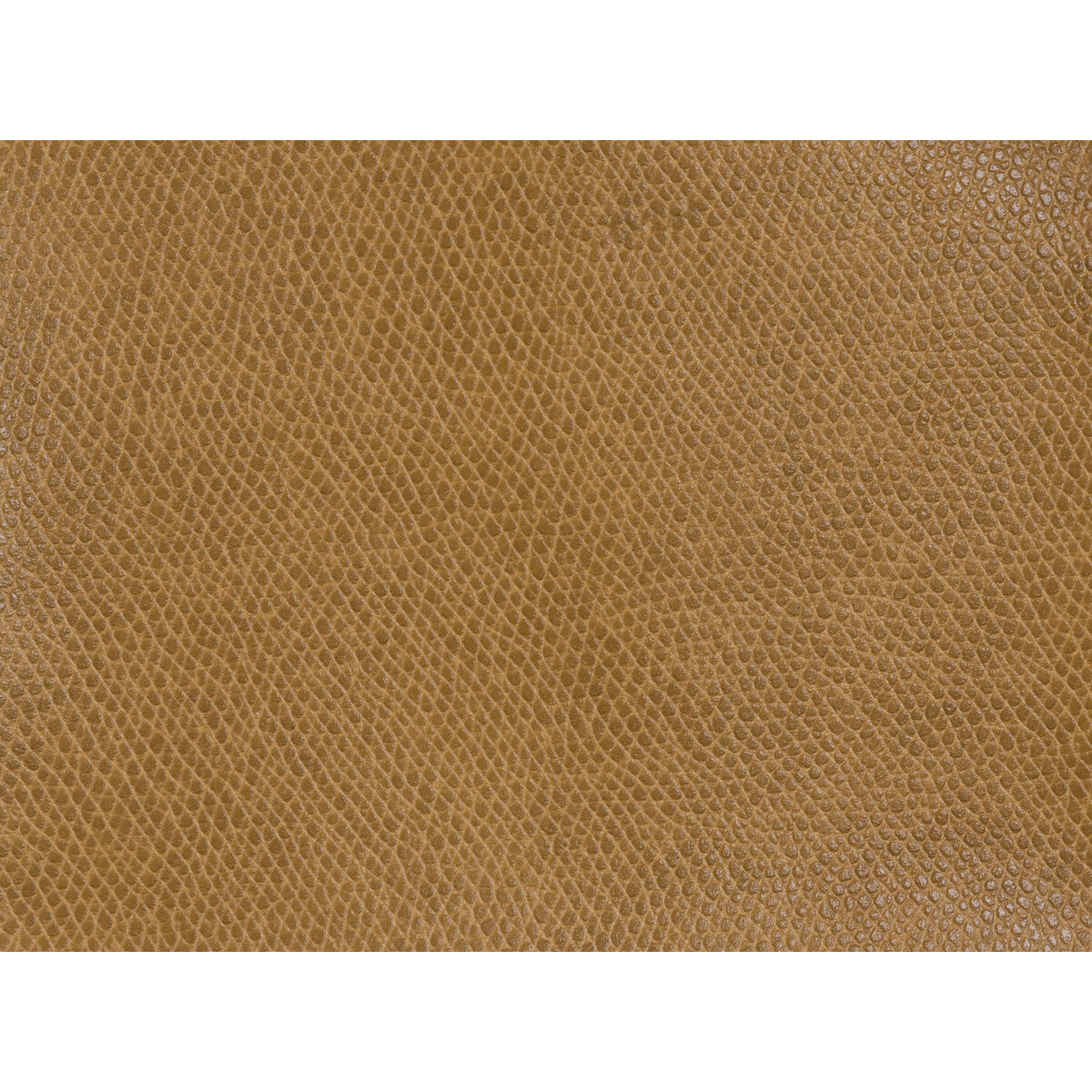 KRAVET CONTRACT OPHIDIAN.124.0 OPHIDIAN COGNAC Fabric - Eade's Wallpaper