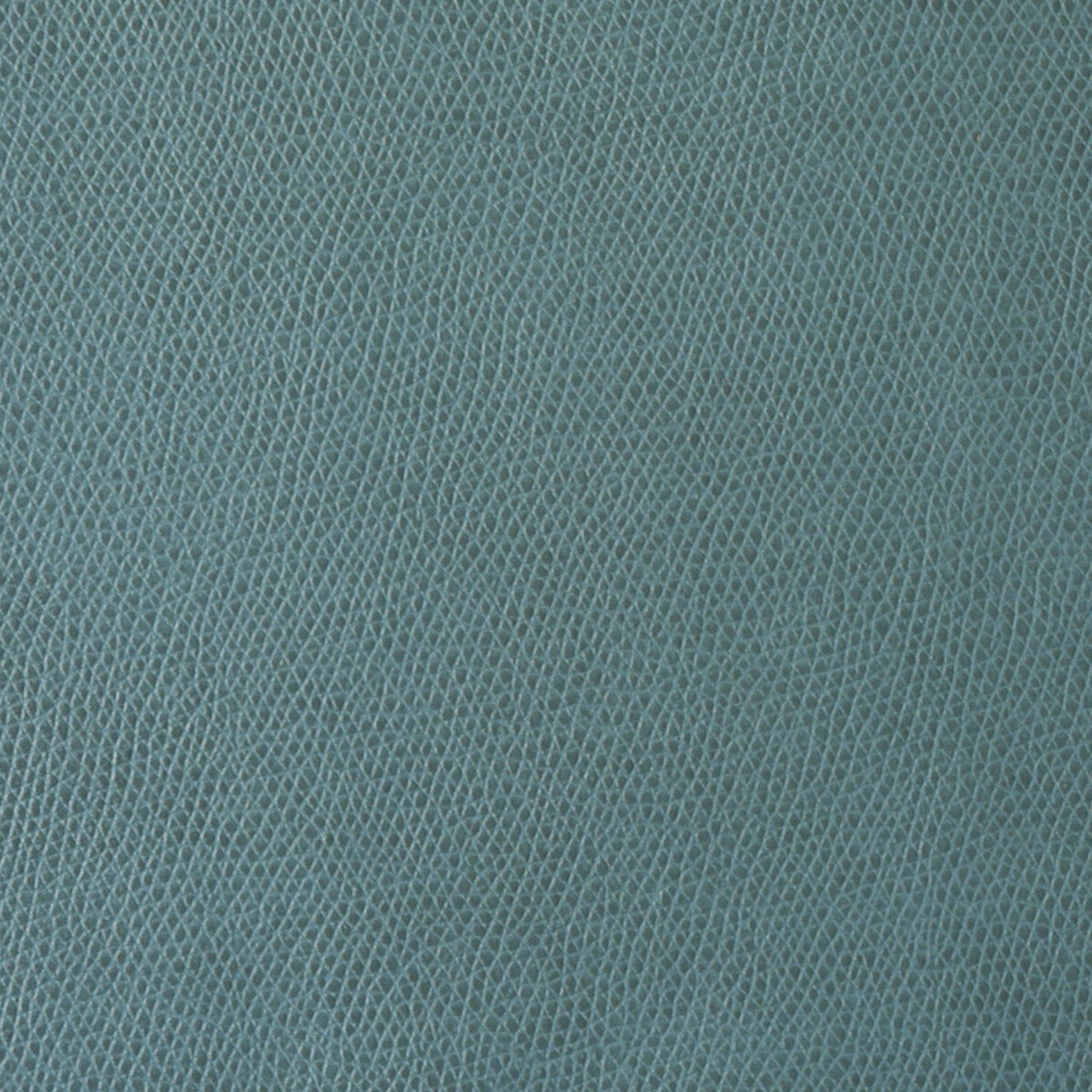 KRAVET CONTRACT OPHIDIAN.35.0 OPHIDIAN PATINA Fabric - Eade's Wallpaper
