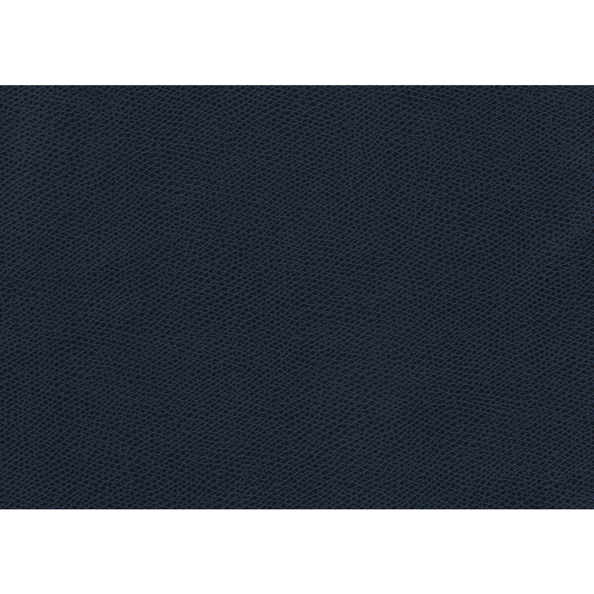 KRAVET CONTRACT OPHIDIAN.50.0 OPHIDIAN MIDNIGHT Fabric - Eade's Wallpaper