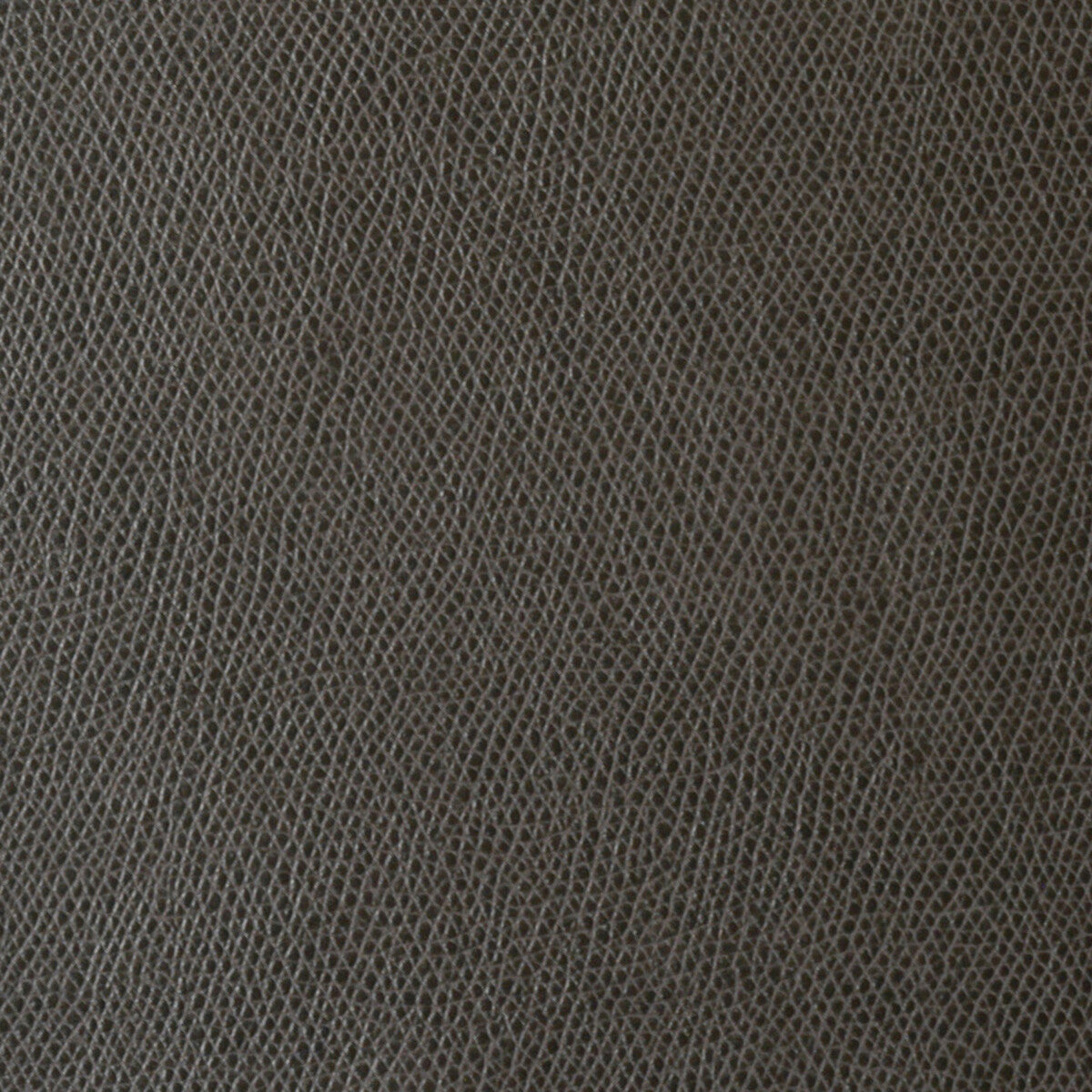 KRAVET CONTRACT OPHIDIAN.6.0 OPHIDIAN CHARCOAL Fabric - Eade's Wallpaper