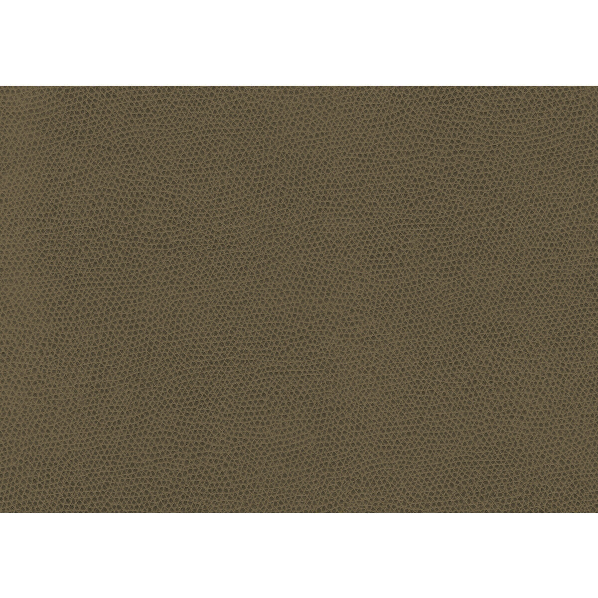 KRAVET CONTRACT OPHIDIAN.606.0 OPHIDIAN BARK Fabric - Eade's Wallpaper